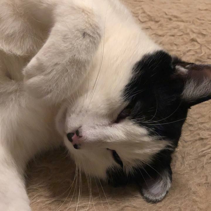 E07a5654 a346 4725 97ca 7c5491e53d5f 1556281320158