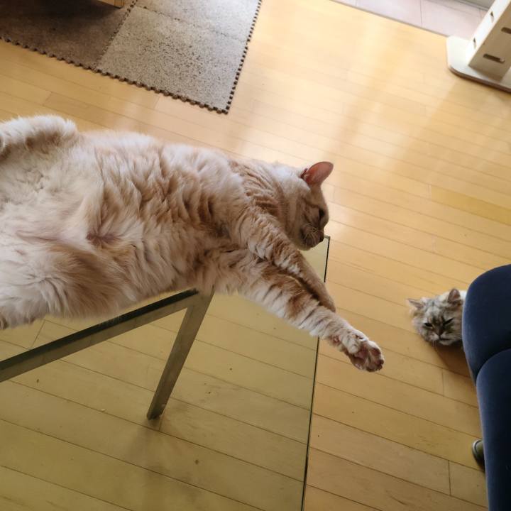 E07a6d5d 1fbf 4239 bafd a732e5cca783 1657142954439