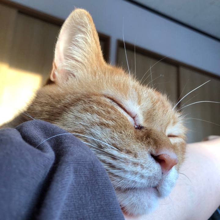 E07a6e20 65e4 44e6 8909 be2fa12d8ddc 1680382926170