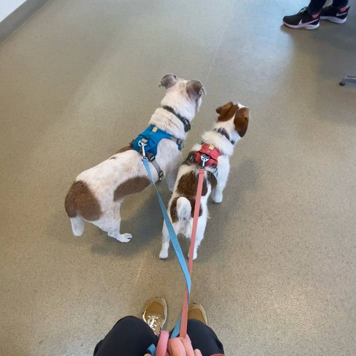 E07ab3ce 6427 4904 b81d 3346f6085e38 1710645446126