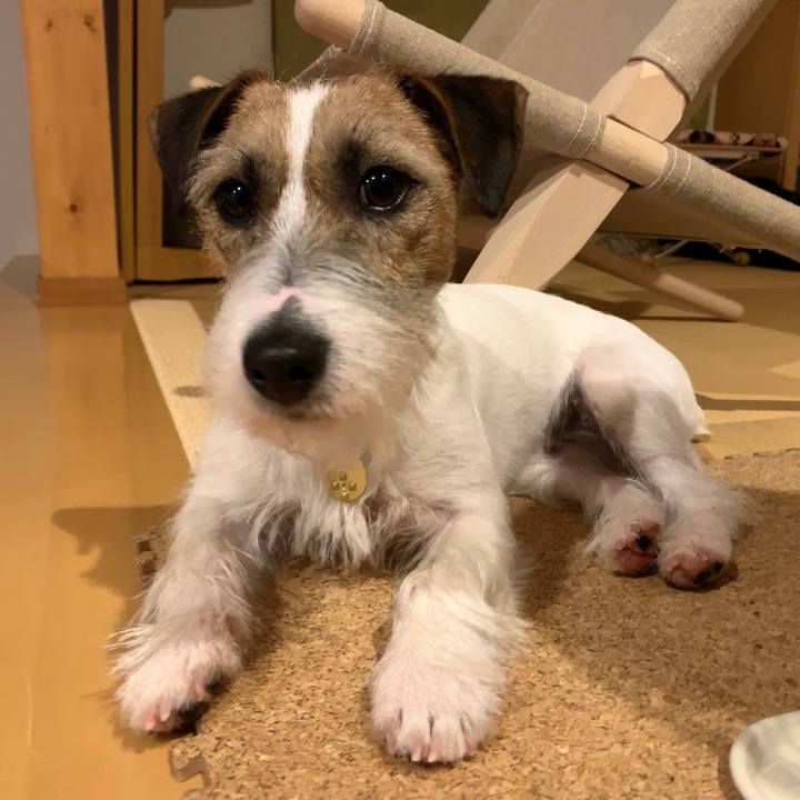 E07ae6c5 e9ea 4f43 b2be d55296d26f1a 1586440373842