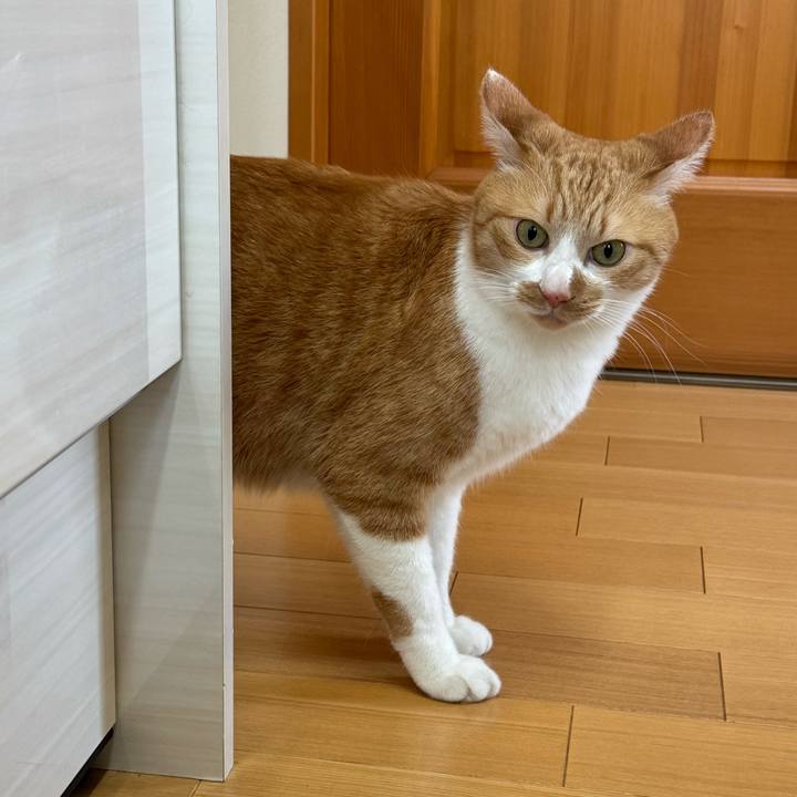 E07afb31 f6dc 4dbc a2a6 ef450311b3e5 1766629797249