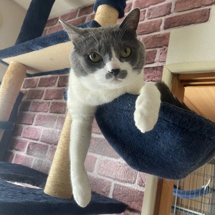 E07b12e5 c7fc 42f6 8f04 a7bdd56b04fd 1746321564126