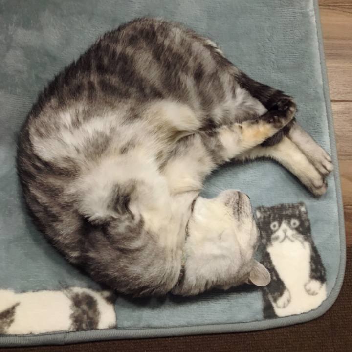 E07b1431 2a4a 4268 aadd 9c0b0f6bea39 1606025233091