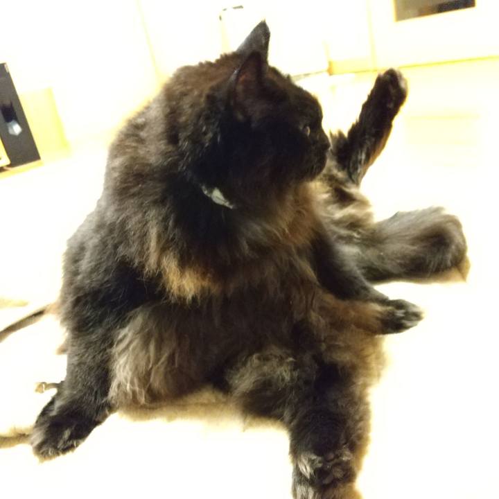 E07b20fd 2088 4bd5 b067 e8c50d679b3f 1638528068423