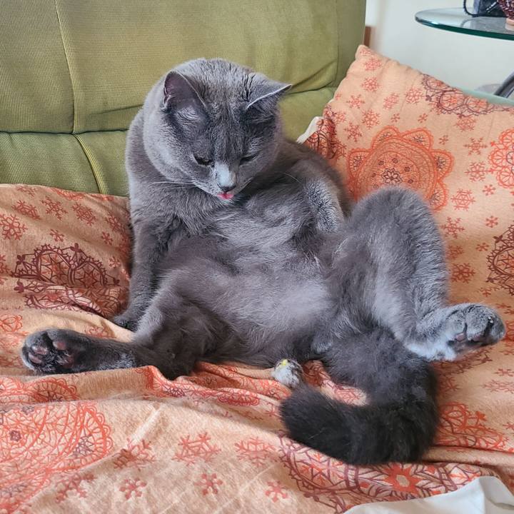 E07b25ef 07ff 49f6 bf84 38add8c722cf 1600151936299