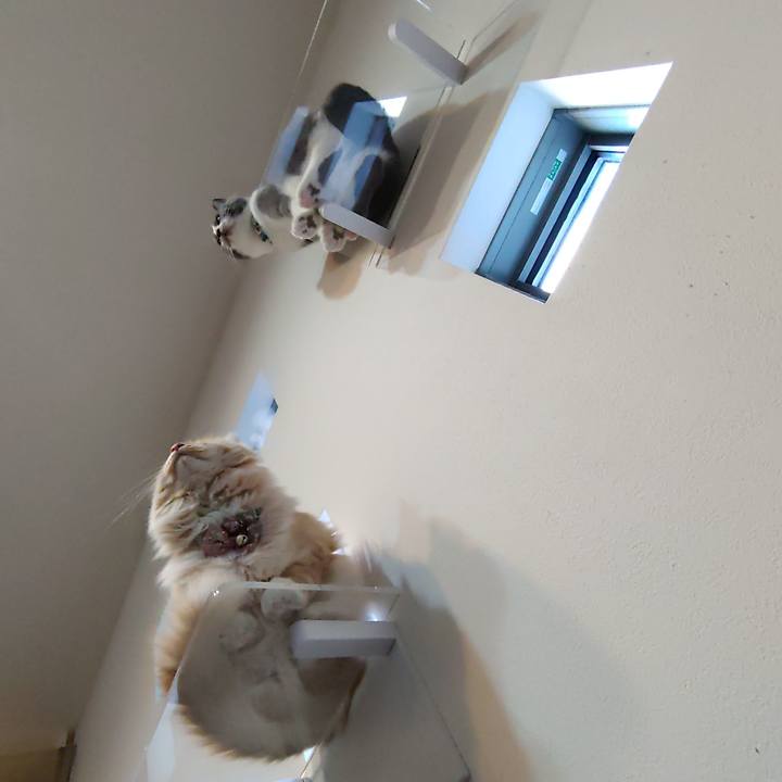 E07b2a0f cfc9 460a 8f61 d4a563901409 1671881379938