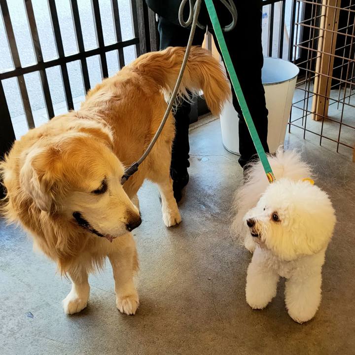 E07b3963 77f3 4c94 80eb b157aabb7d1e 1768809827506