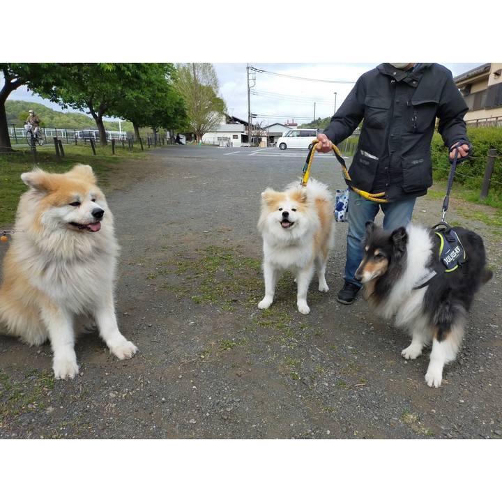 E07b55f4 9e62 4c08 b077 22f1891c42e9 1618488708627