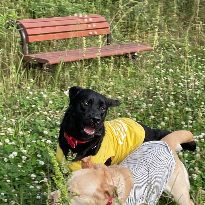 E07ba35b f56e 4cf9 92e4 c2359796fa3a 1621417650660