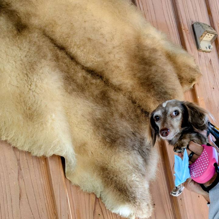 E07bb573 bd72 4960 a95b 0506ac8ecedf 1763104090657