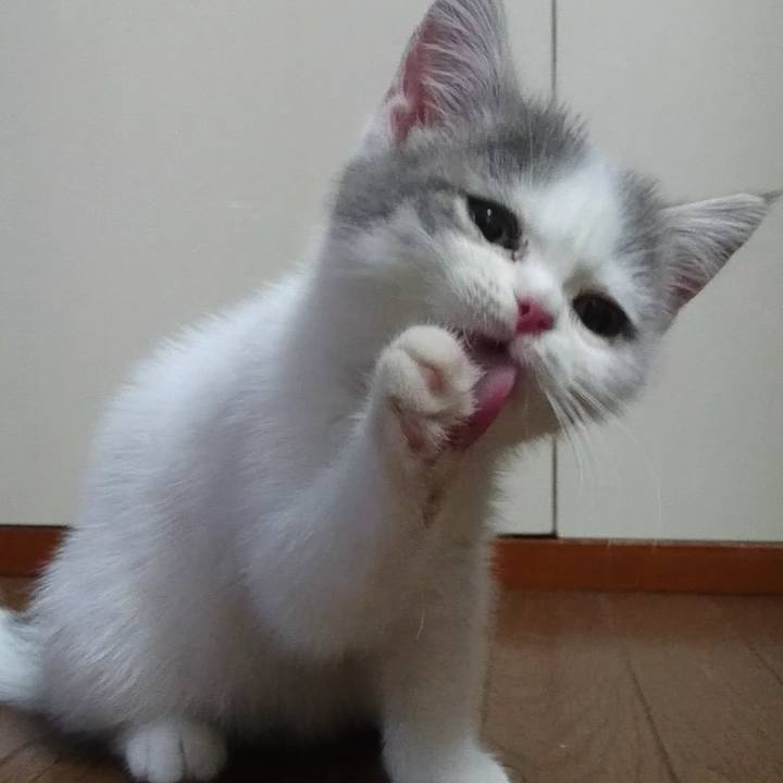 E07bbdb4 6d71 41fd acbb e39403248e28 1758892193612