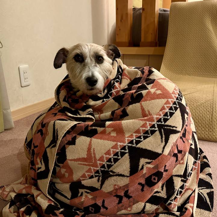 E07bea08 d143 496e 9ccf cfb42cfe5625 1766329447080