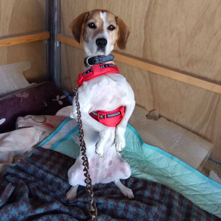 E07c1991 e0ae 4822 a503 bd903b0915f4 1699443387191