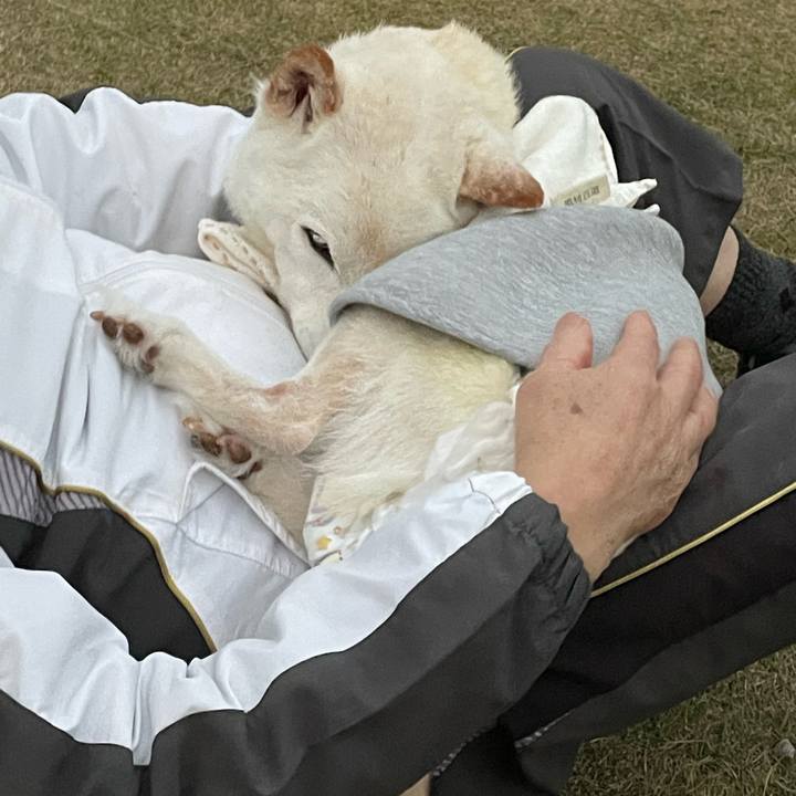 E07c1c7d 83cf 40d9 89dd d6c5e4099925 1670672666327