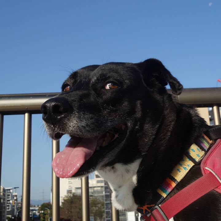 E07c382b 43da 4e48 8433 e40b3c9099ce 1698888401437