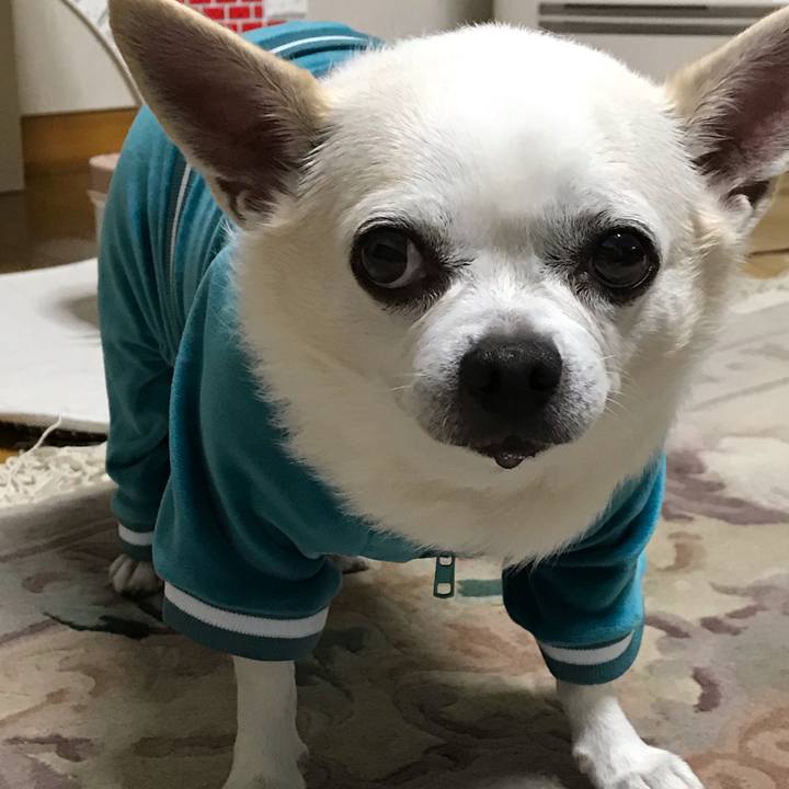 E07c4d43 58cd 4361 9aae cb901f348cd0 1573536631459