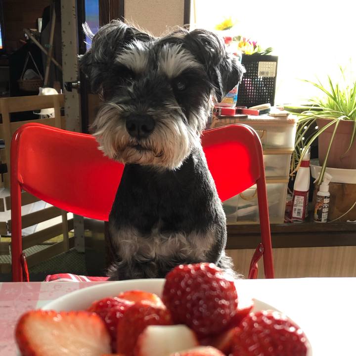 E07c71a9 4e7b 4268 aead bee54aa57abb 1648364123537