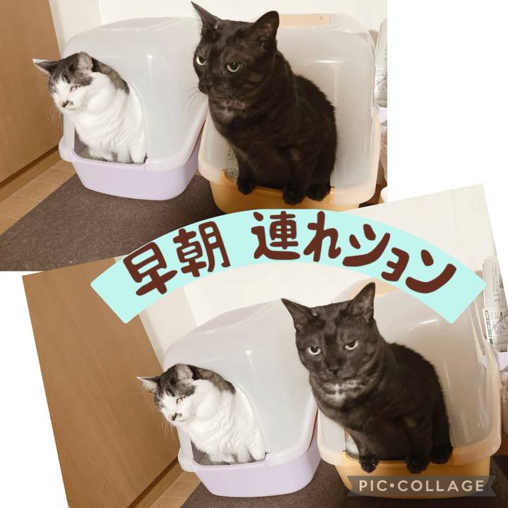 E07ca3ce 5b7e 47bf b777 a95c280fb446 1709673983969