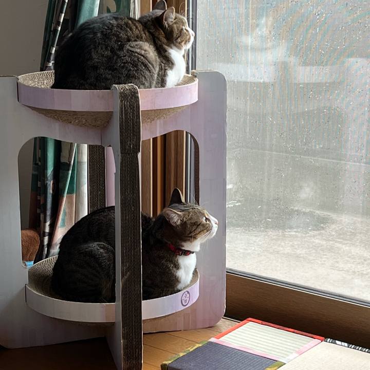 E07cbbbb 507c 4d14 9276 5d4bb8a050b9 1737520492668