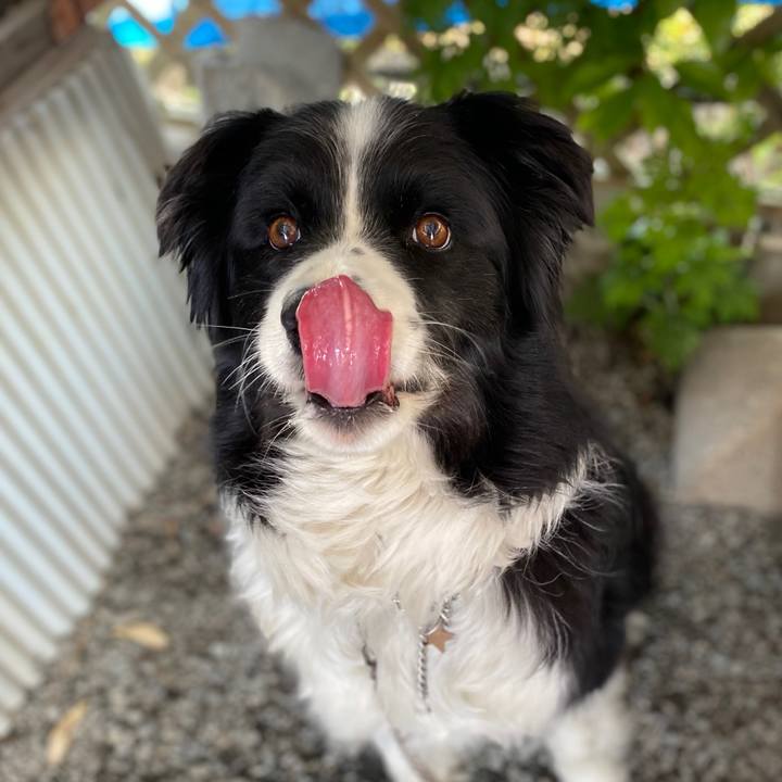 E07cc0d6 592d 4a8e be77 0ba761f67fe6 1590277522662