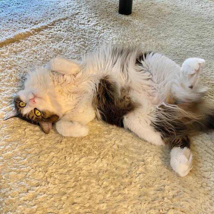 E07cc624 ec38 4ce3 967f 404c3f425699 1579432081150