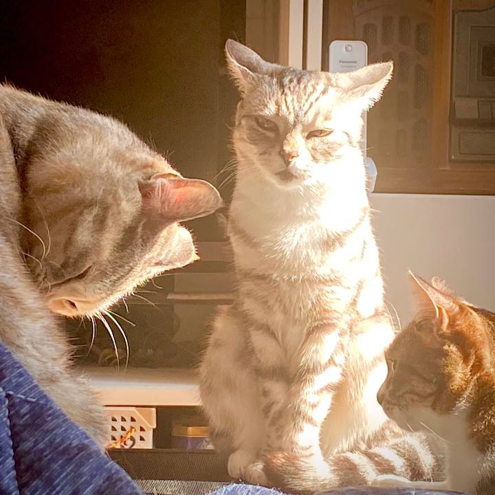 E07cccd5 e665 445d a644 3c6ade7294e6 1579588588482