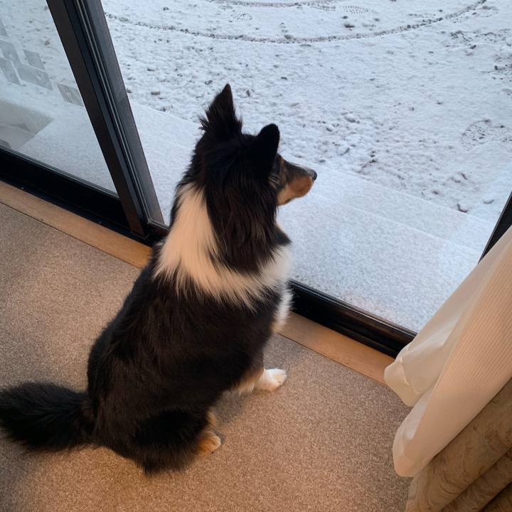 E07d0145 79e0 4576 a322 92b8f1256618 1548108222596