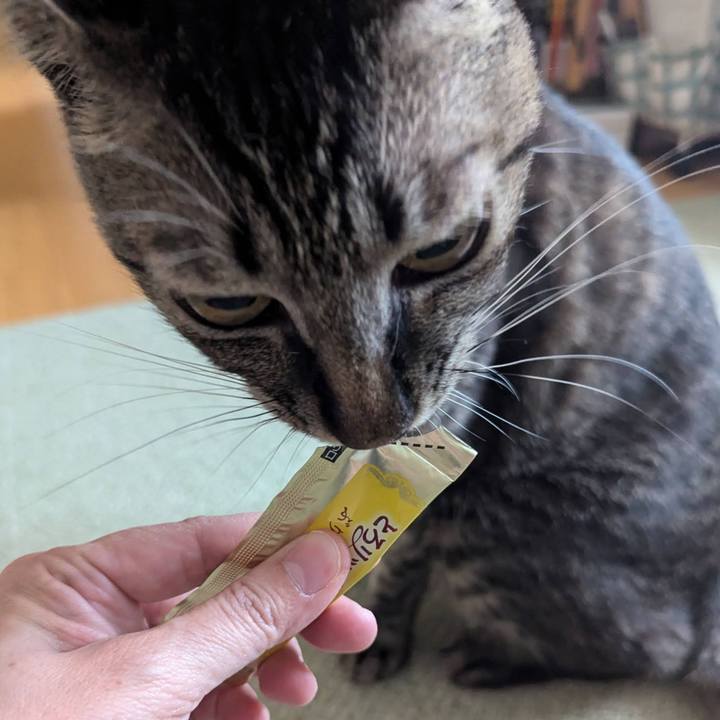 E07d0eec 2401 42b0 831d a64284121973 1733222524943