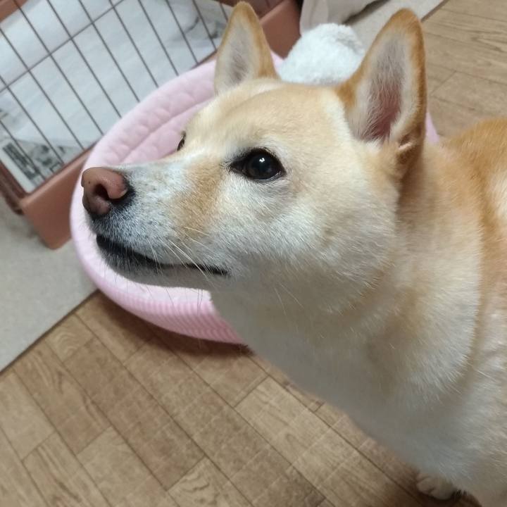 E07d159b ed35 45ae bd4f b42a51157b19 1602110091015