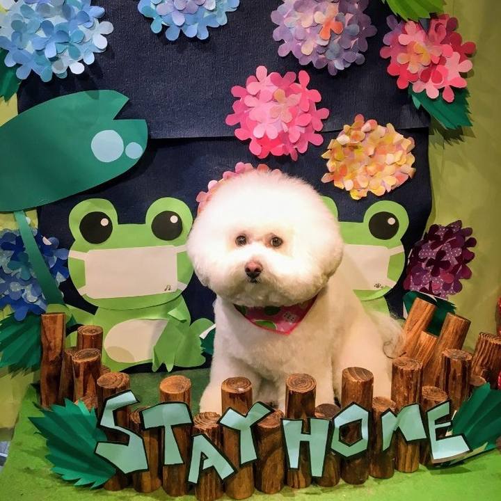 E07d43dc 391d 4f14 912d 6f82d191ae7c 1592017043274