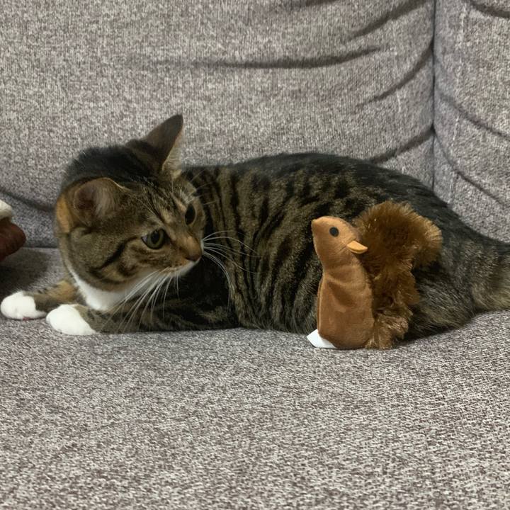 E07d4c36 7bd3 47d2 a796 a46905a306a6 1577283389952