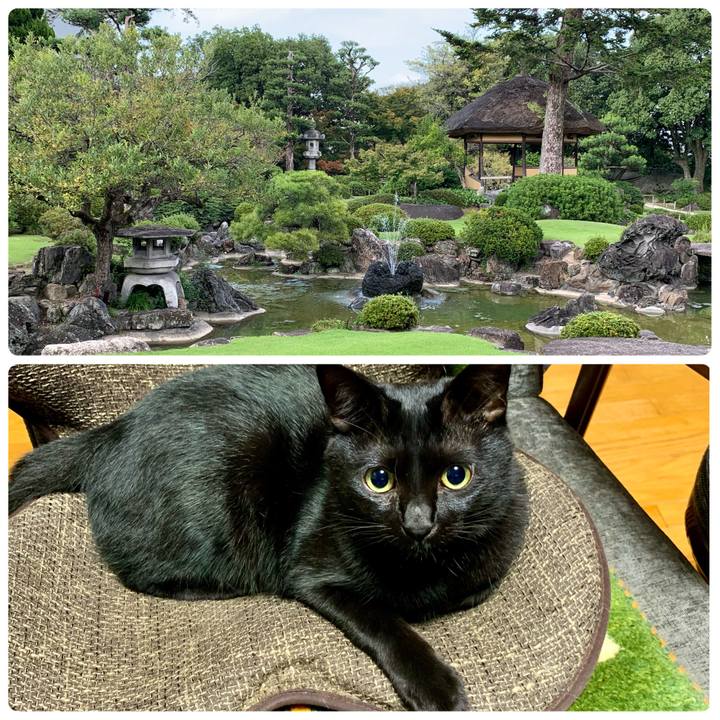 E07dafa8 ae2c 4f39 b356 10e25fe51307 1665925047699