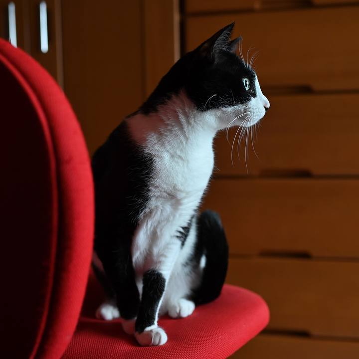 E07dd913 f293 42c1 9ef8 ba7b4c3a7e29 1557536495169