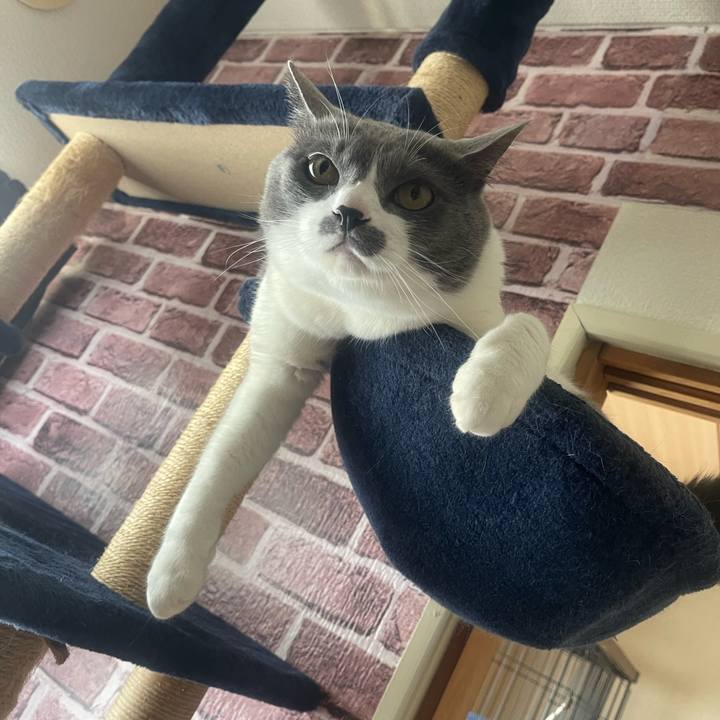 E07e4a66 ee90 4769 b396 b37fa358fce4 1747803494019