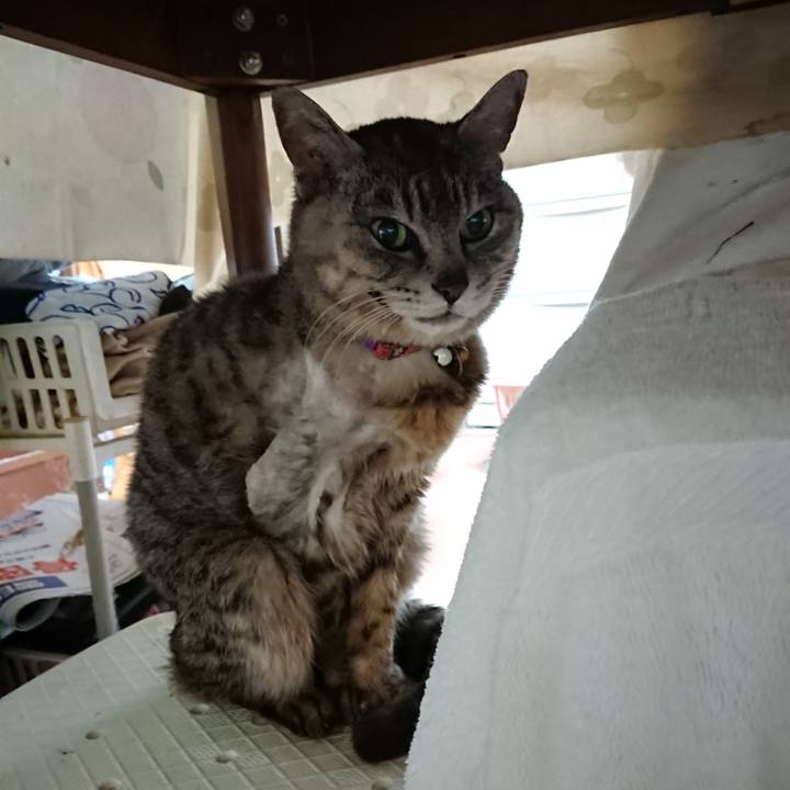 E07e505d 44bc 41f4 bc6a 83e7440fb163 1590958224569