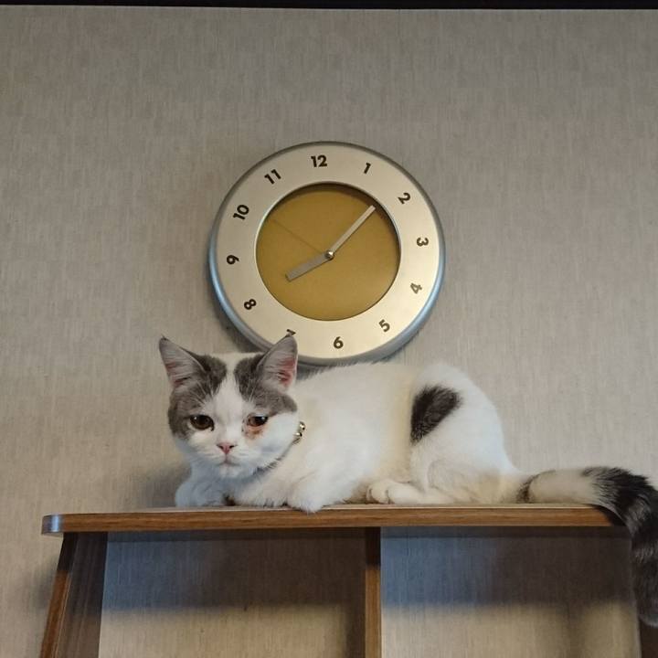 E07e60a5 35ac 4d94 8358 2d16c547054c 1542239224082