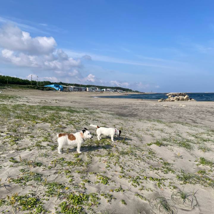 E07e6b29 09b0 4c05 b0e4 2f7836b22fd3 1749687435905