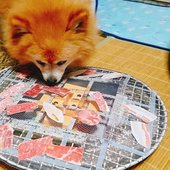 E07e76a4 270d 4952 9f72 ead4e64b5b7e 1559519603080