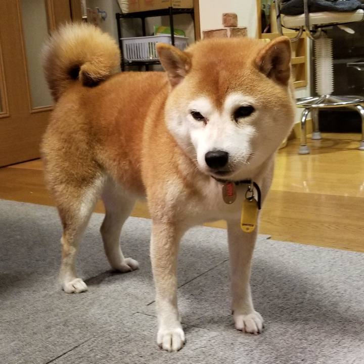 E07e9c39 052c 4ff3 acaa 09c5f4dc6c37 1604999660606