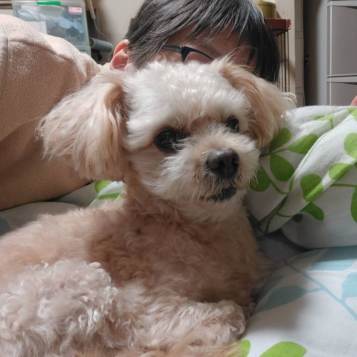 E07f05d7 15d5 41bf 9074 4744b0fd828b 1668504768017