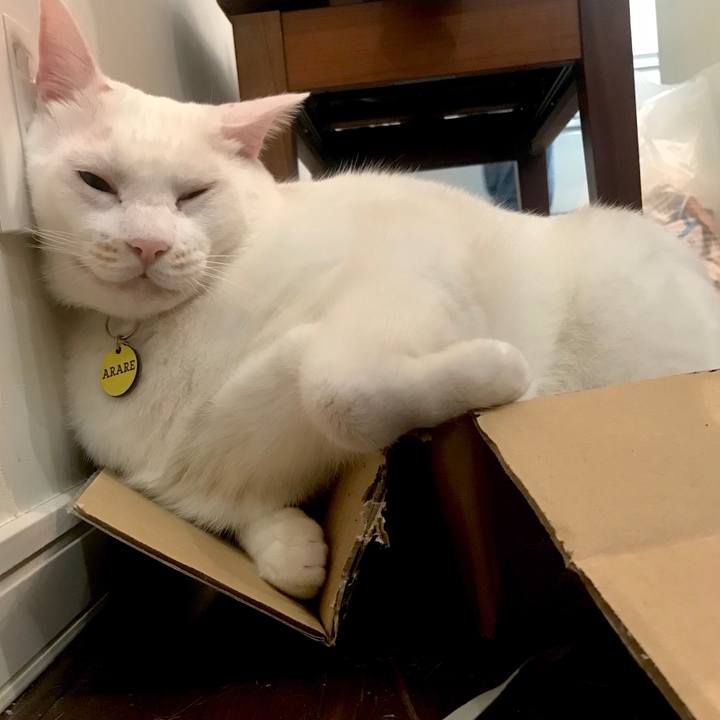 E07f0788 60aa 4406 a731 869ae4d992c1 1537534524997