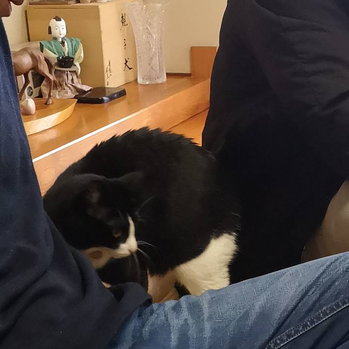 E07f4d70 d4ed 455f 97f8 bf57c250a228 1577867515173