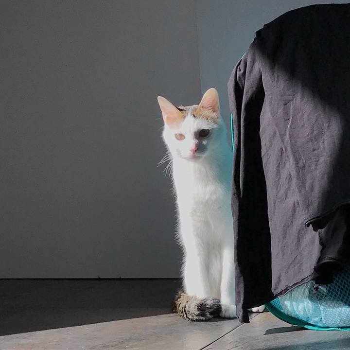 E07f5272 0e62 4f0f adad 05610ff7c4d8 1512465583664