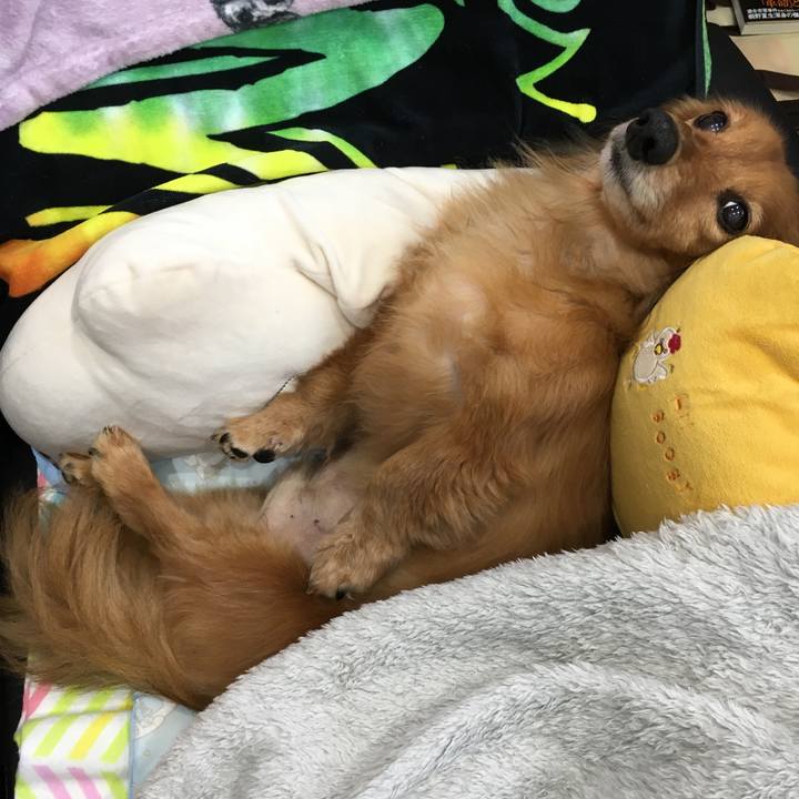 E07f53d1 3576 40c3 8d2b 9b9085299858 1589970210583