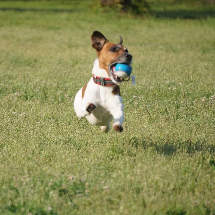 E07f5e24 f48c 43b1 bece c2672f1d4734 1560467737959