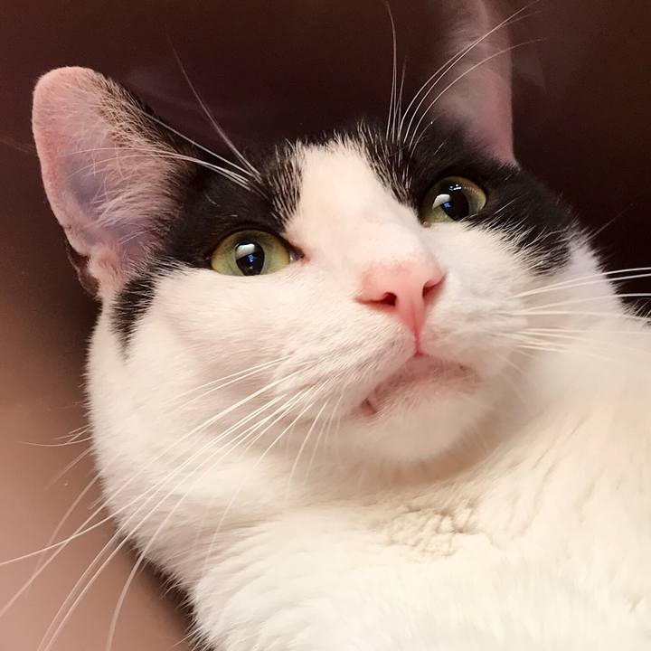 E07f651f cb47 4e8f 8d00 5fa3ede291db 1533601432084