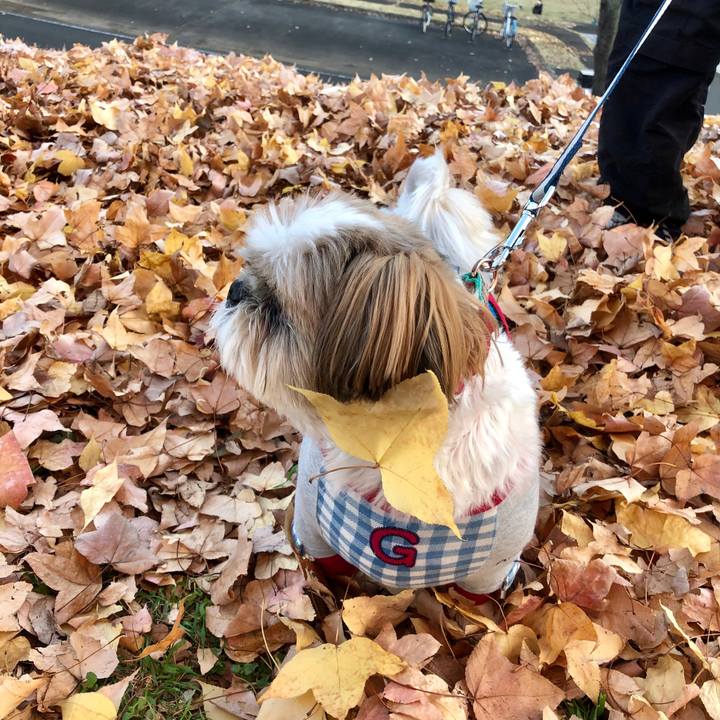 E07f677f dca5 4a57 a437 374b16669906 1575097376047