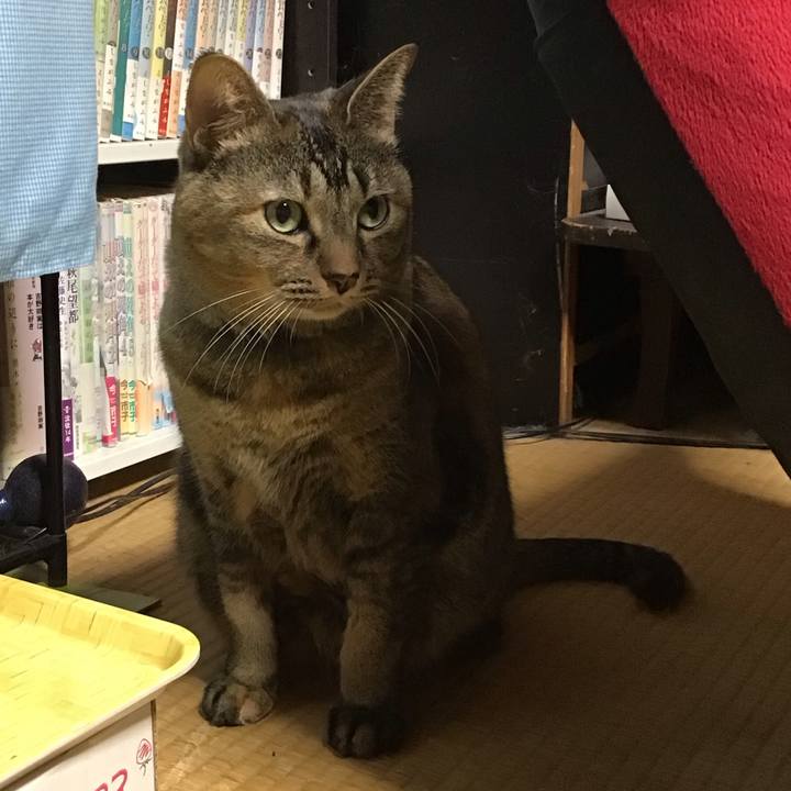 E07fc2d1 218b 4ce4 8517 e3ac40190ab9 1762858342092