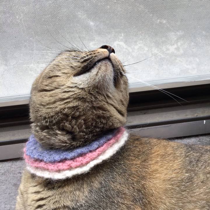 E07ff144 8423 4d28 b7f9 decaa13ae8e5 1625806463098